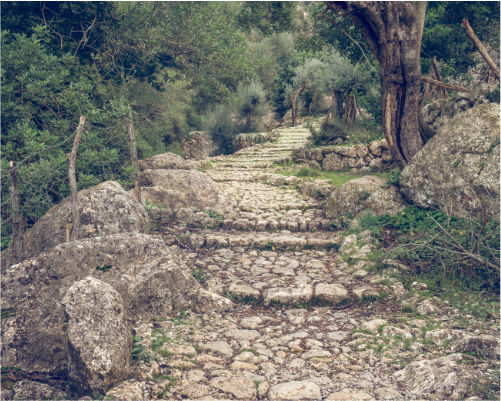 ANTICA STRADA VALERIANA
